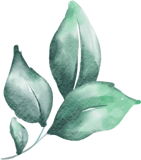 QW-013-LEAF-002-Copy.png